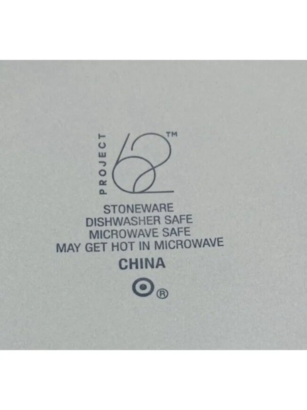 Project 62 Target AVESTA Glossy Gray Stoneware Smooth Coupe Dinner Plates Set 4